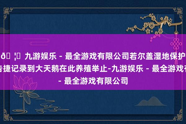 🦄九游娱乐 - 最全游戏有限公司若尔盖湿地保护区初次告捷记录