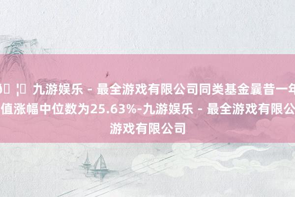 🦄九游娱乐 - 最全游戏有限公司同类基金曩昔一年净值涨幅中位