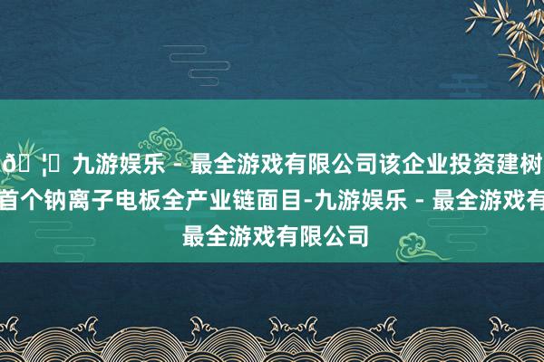 🦄九游娱乐 - 最全游戏有限公司该企业投资建树洛阳市首个钠离